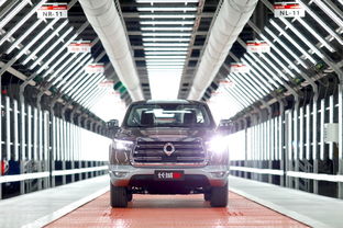 上市即爆款，長城炮十月銷量突破5020臺領跑市場