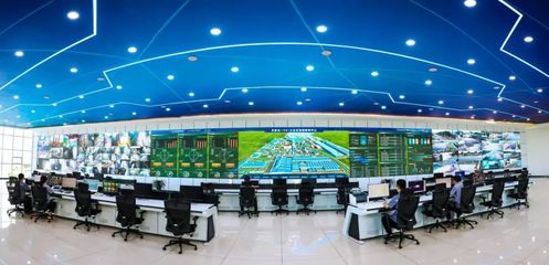 金鼎鋼鐵 以信息技術研發(fā)之“綠”，鑄就發(fā)展底色中的別樣“紅”