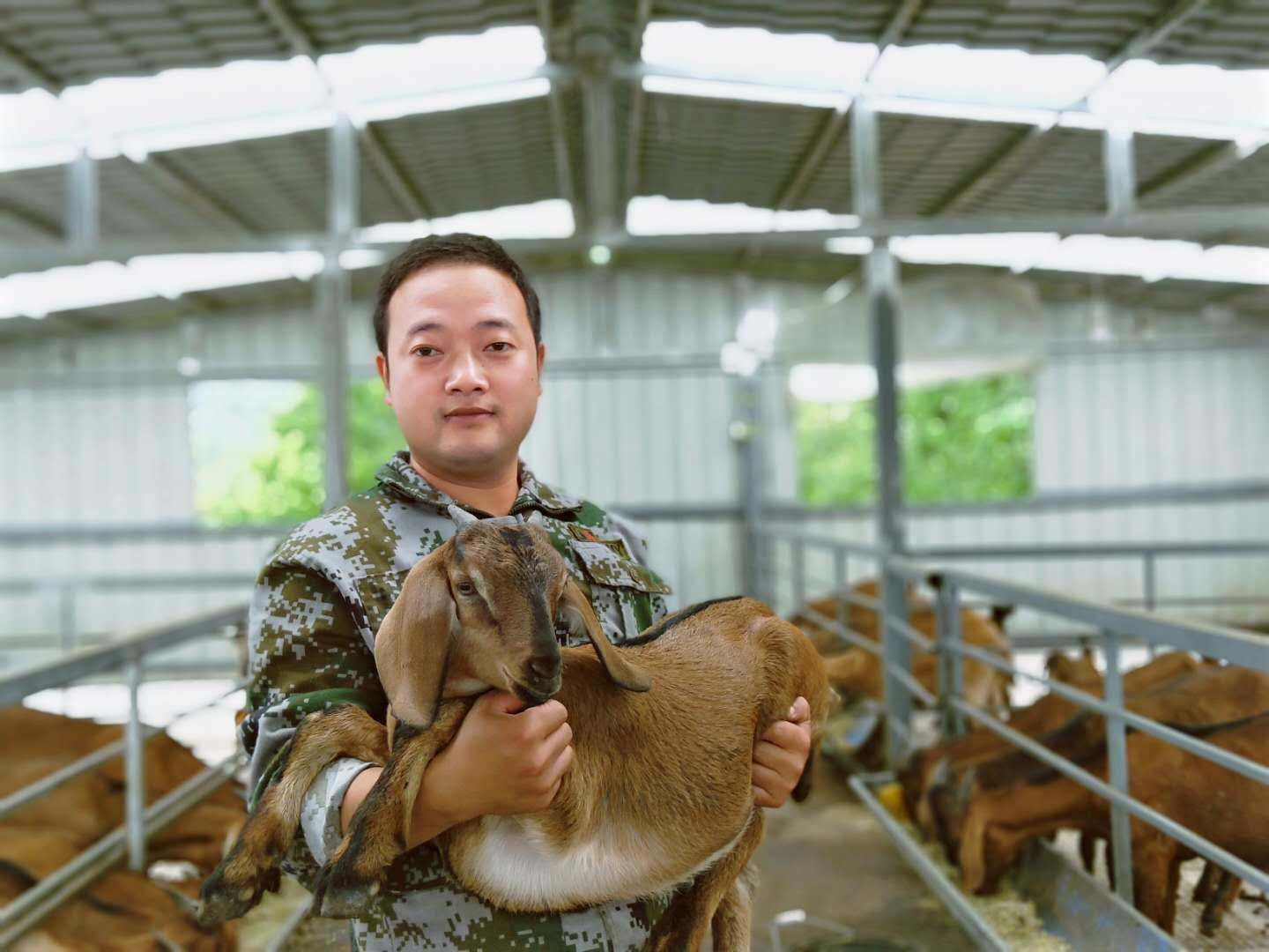 念羊經、發羊財 小畜牧成就大產業